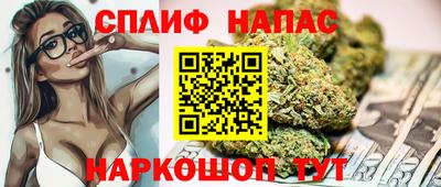 индика Апшеронск