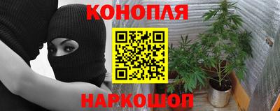 индика Апшеронск