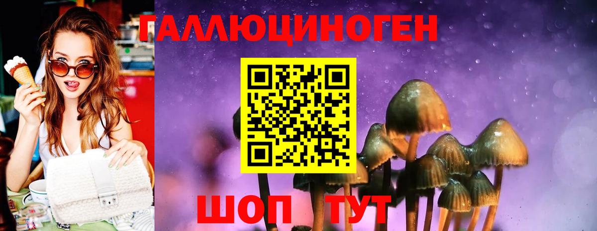 Галлюциногенные грибы Psilocybe  Вход с VPN  Знаменск 