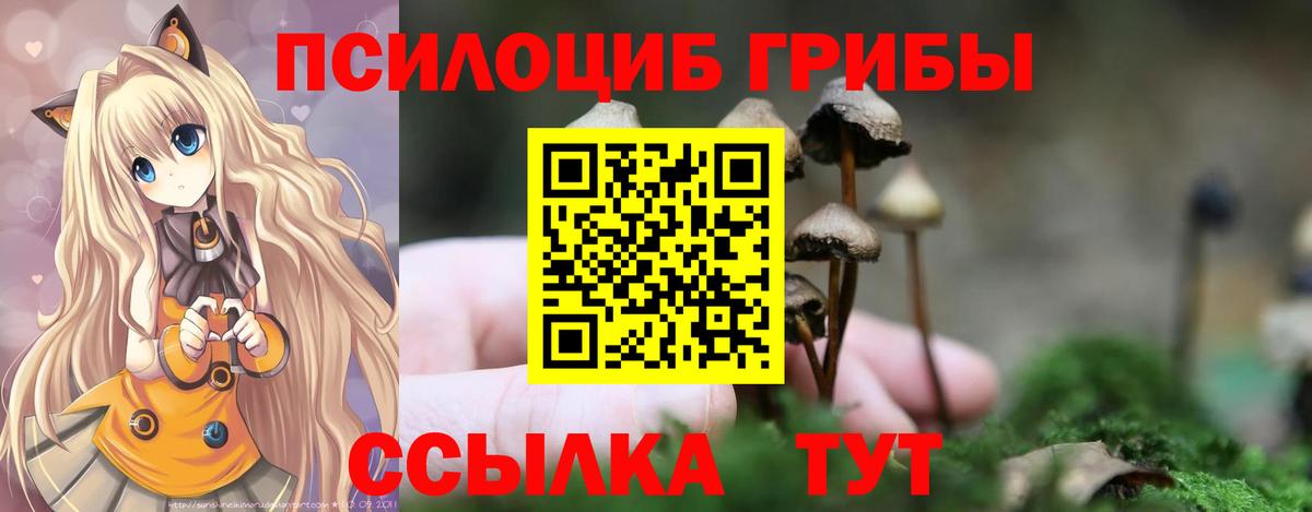 Псилоцибиновые грибы ЛСД  Псилоцибиновые грибы Psilocybine cubensis  наркошоп  Знаменск 